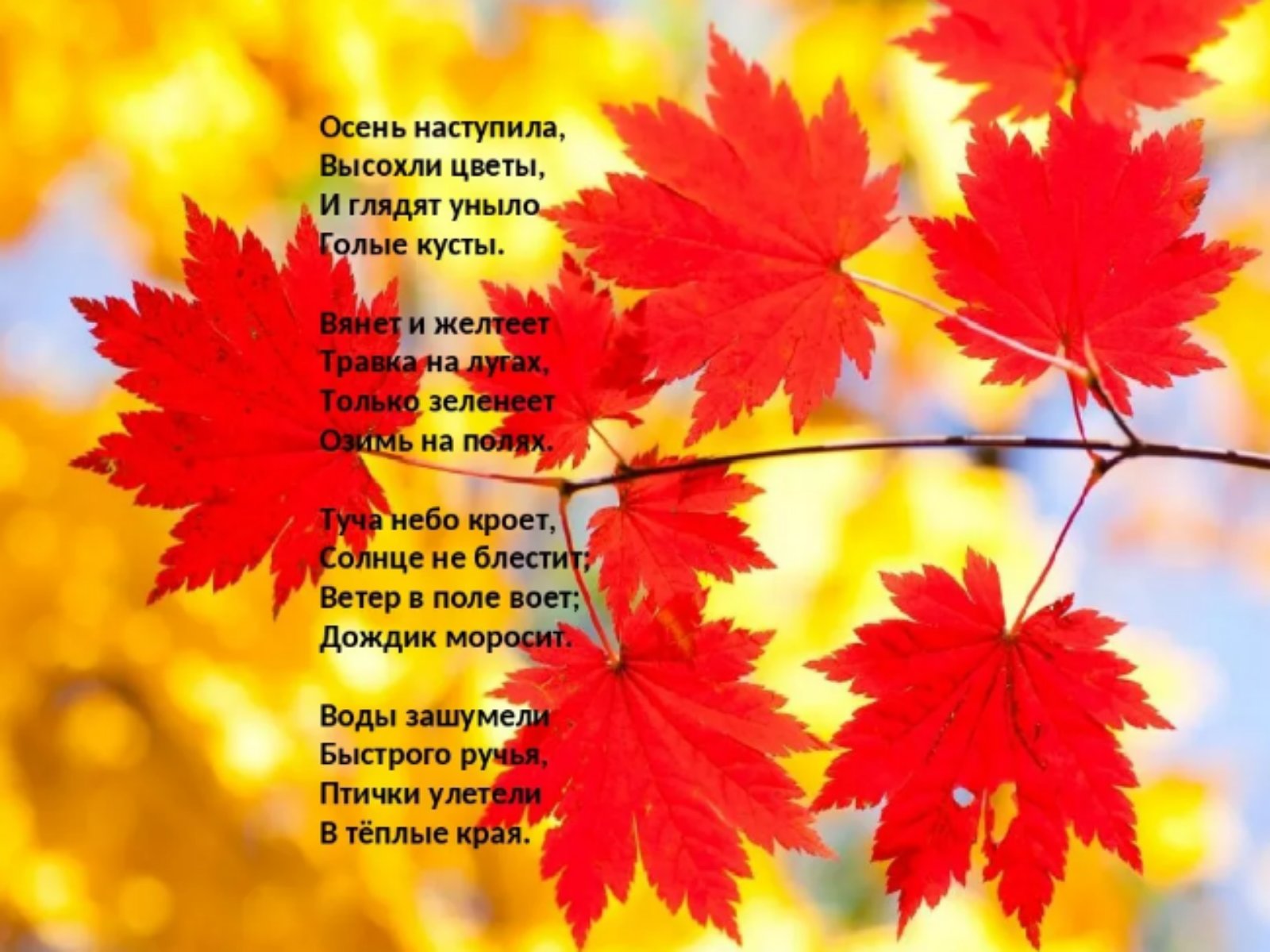 Стихи про осень